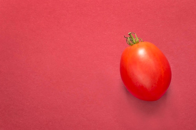 Tomate auf rotem Hintergrund