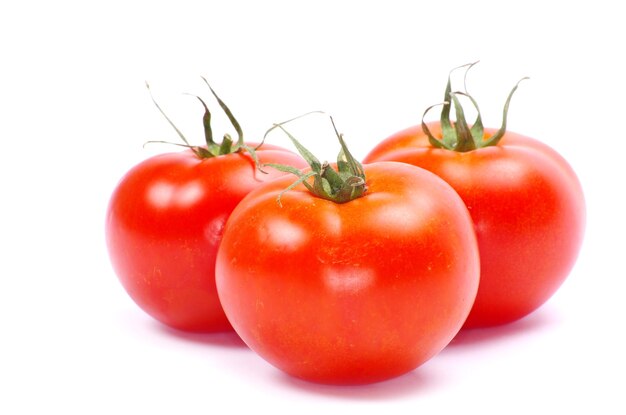 Tomate en blanco