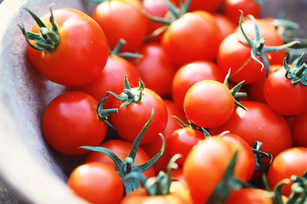 Tomate cereja de fazenda fresca ecológica em um fundo de madeira