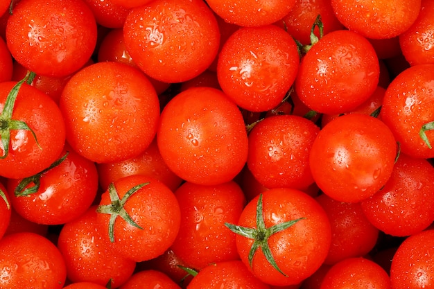 Tomate cereja fresco