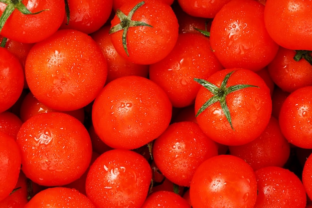 Tomate cereja fresco