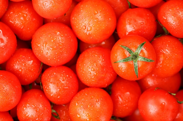 Tomate cereja fresco