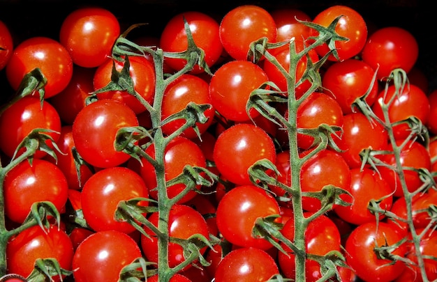 Foto tomate cereja no mercado