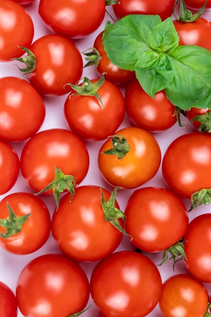 Tomate cereja vermelho e textura e fundo de manjericão