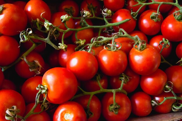 tomate cereja vermelho em galhos