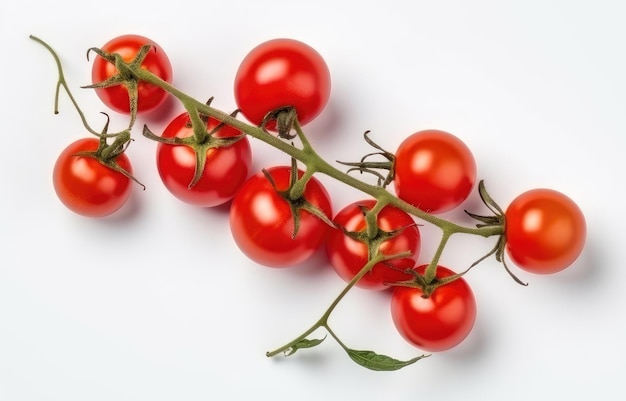 Tomate cereja vermelho em um galho