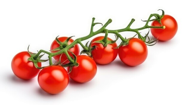 Tomate cereja vermelho em um galho