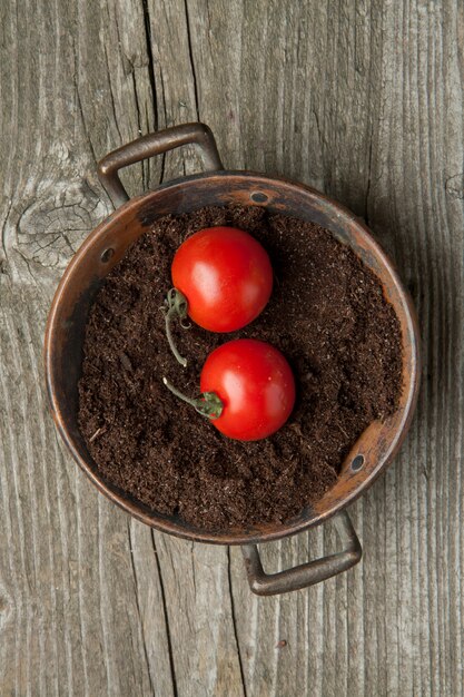 tomate cereja