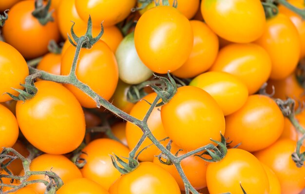 tomate cherry amarillo