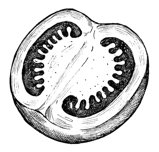Un tomate cortado fresco dibujado a mano transparente png