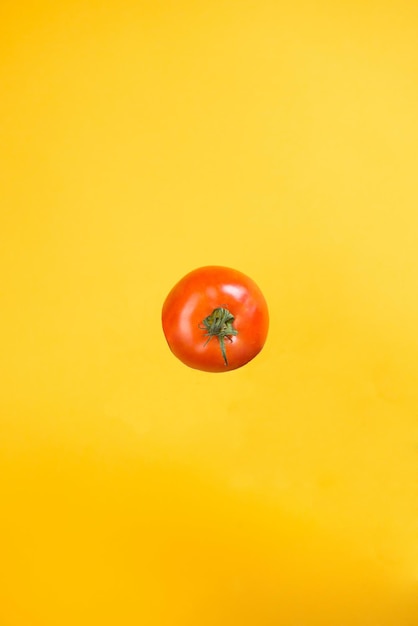tomate de jardim isolado em fundo amarelo