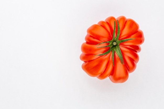 Tomate en el fondo de color.