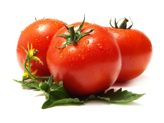 Tomate fresco aislado