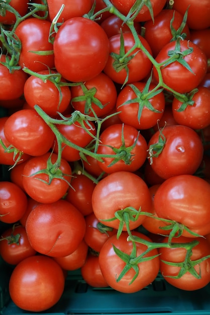 Tomate fresco com gota de água de perto