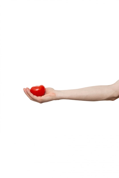 Tomate fresco en la mano aislado sobre fondo blanco.