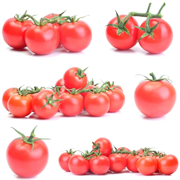 Tomate Fresco