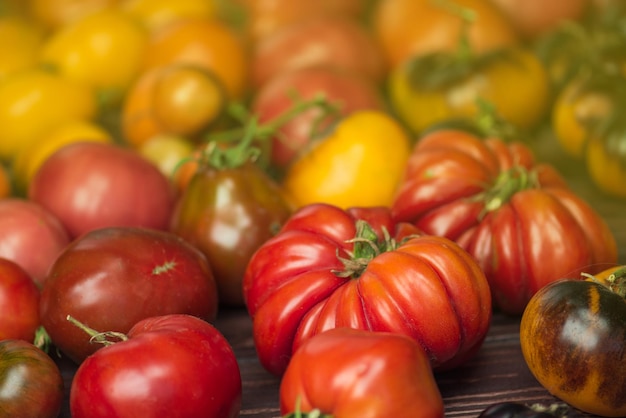 Tomate en la madera vieja Tomates frescos grandes y pequeños sobre fondo de madera oscura