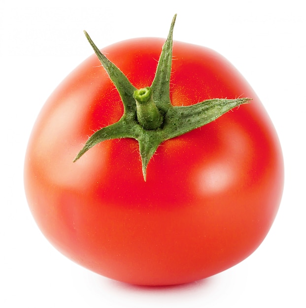 Tomate maduro brilhante