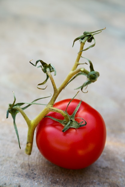 Tomate maduro en una rama. Vertical.