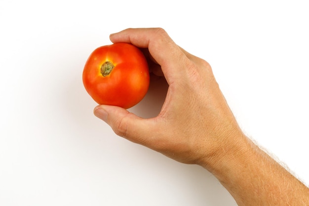 Tomate en mano aislar Verduras sosteniendo la mano