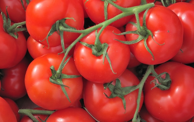 Tomate en un mercado en Francia