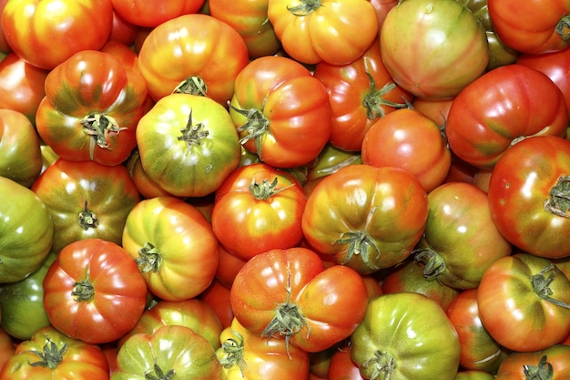 Tomate no mercado raff tomate vegetal