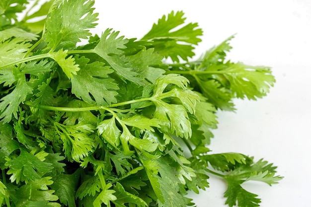 Tomate y pepino con cilantro