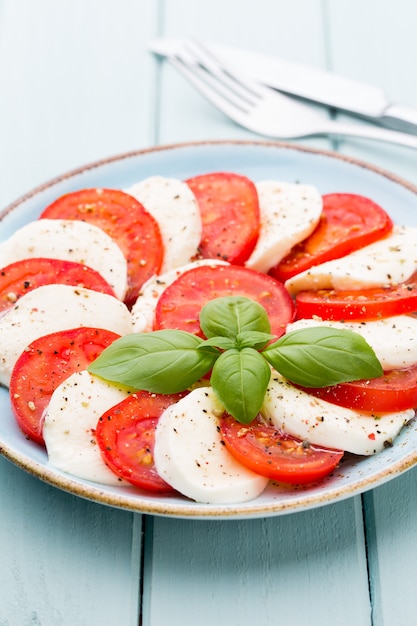 Tomate, queijo mussarela, manjericão e especiarias no quadro-negro de pedra ardósia cinza. Ingredientes da salada caprese tradicional italiana. Comida mediterrânea.