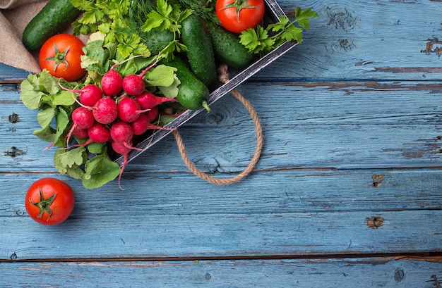 Tomate, rabanete e pepino em fundo azul