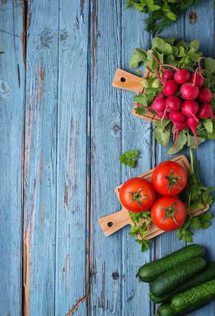 Tomate, rábano y pepinos sobre fondo azul