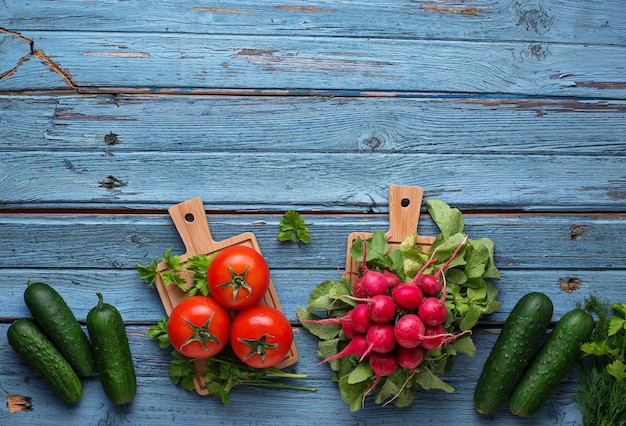 Tomate, rábano y pepinos sobre fondo azul