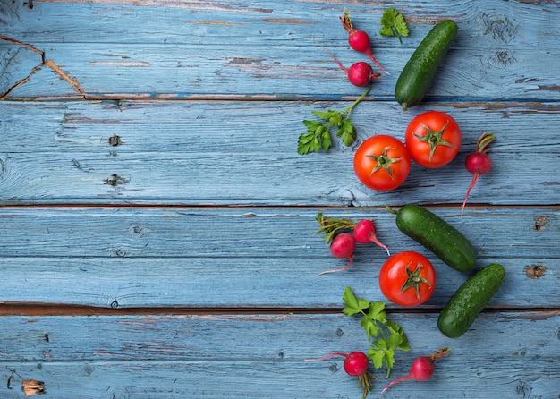 Tomate, rábano y pepinos sobre fondo azul