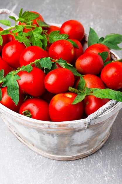 Tomate rojo en canasta gris sobre gris. Cosecha. Caja llena de tomates. De cerca.