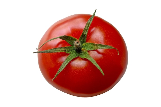 Un tomate rojo sobre un fondo blanco aislado vegetal