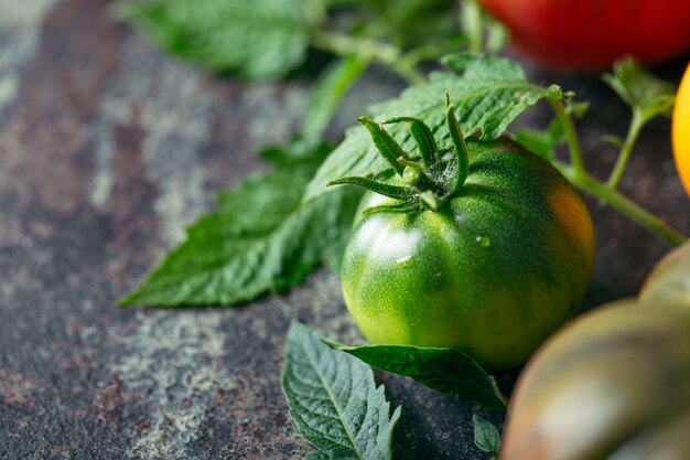 Tomate verde em fundo escuro.