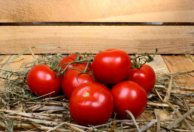 Tomate vermelho em palha