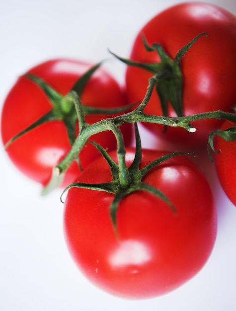 Tomate vermelho em um galho verde