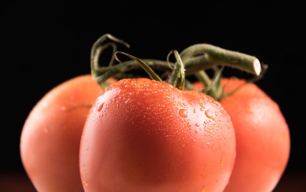 Tomate vermelho fresco e ecológico em fundo preto