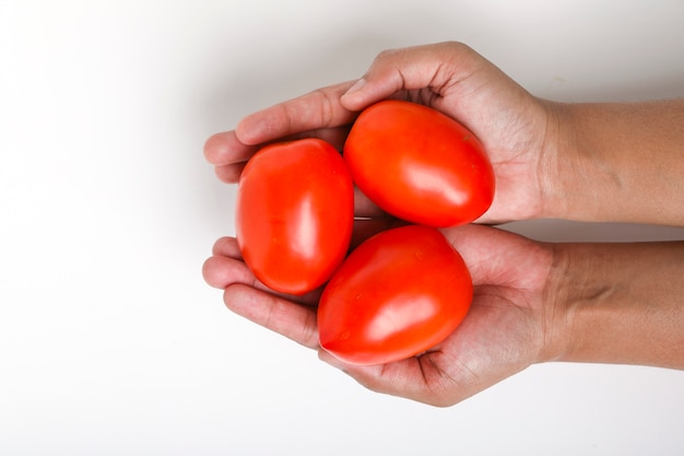 Tomate vermelho fresco na mão