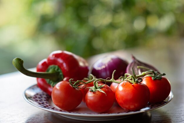 Tomate vermelho páprica pimenta e cebola verde fazenda vegetais orgânicos em um prato Comida saudável vegetariana Nutrição Foco seletivo suave