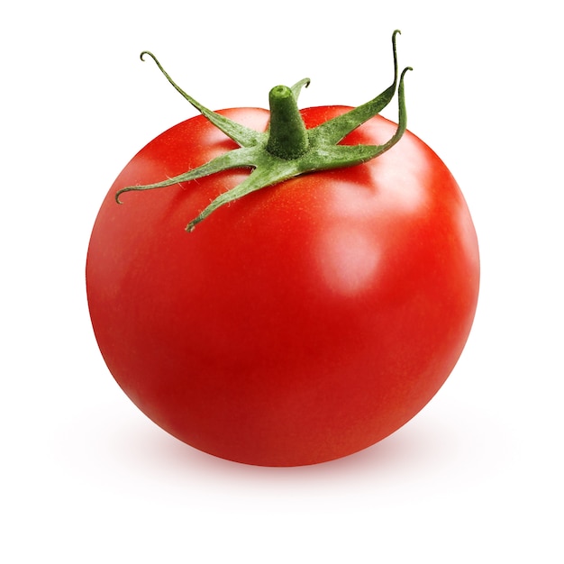 Foto tomate vermelho