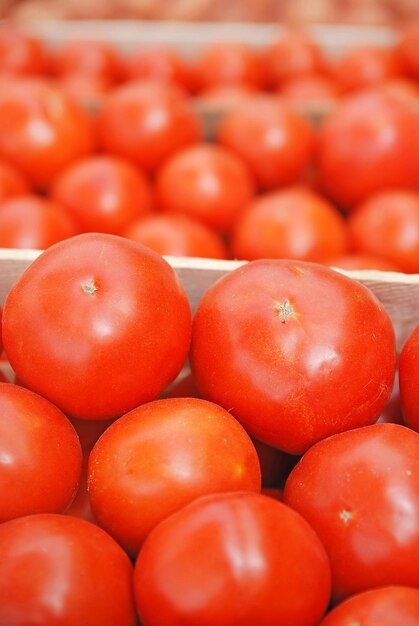 Tomate