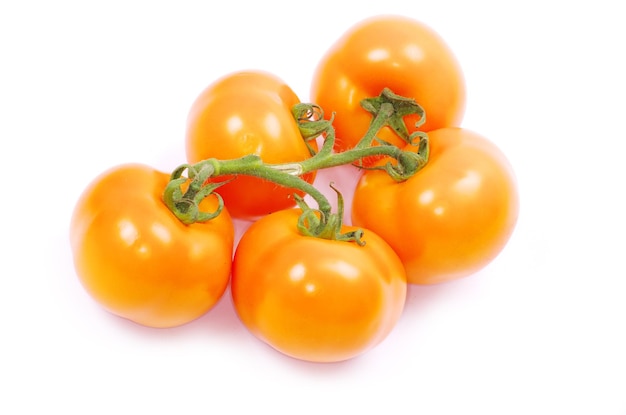 Tomate