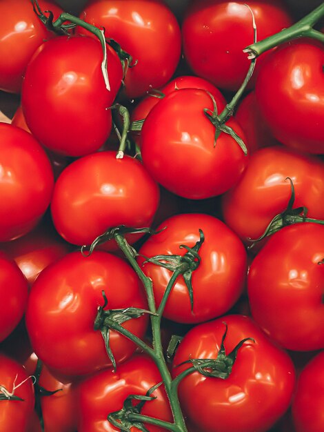 Tomaten als gesundes Bio-Lebensmittel Hintergrund frisches Gemüse auf dem Bauernmarkt Ernährung und Landwirtschaft