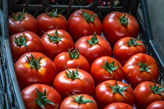 Tomaten auf dem Markt