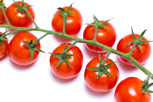 Tomaten auf den Zweigen