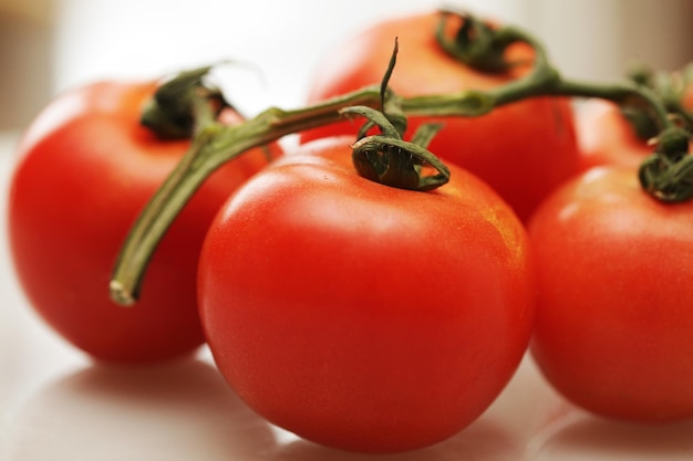 Tomaten auf einem Ast Nahaufnahme Bild