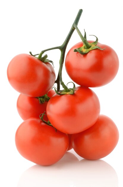 Tomaten auf einem weißen