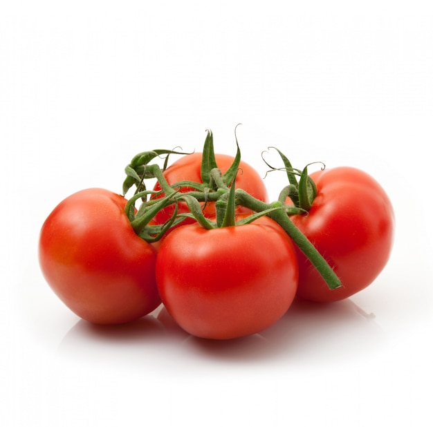 Tomaten auf weiß