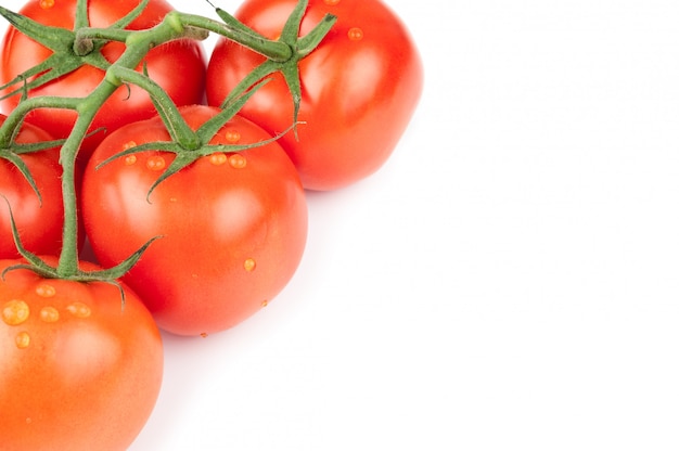 Foto tomaten auf weiß